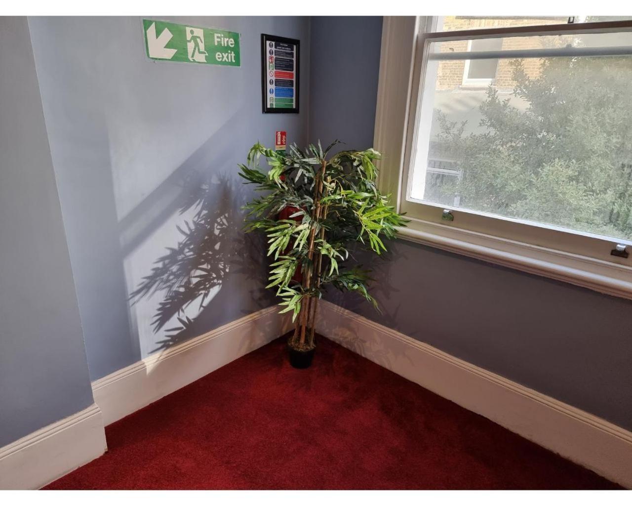 Fg1- Ground Flr Flat Good For 4- Near Hyde Park Appartement Londen Buitenkant foto